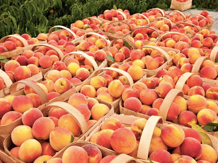 September Recipe of the Month: Peach Compote Crepe Cake