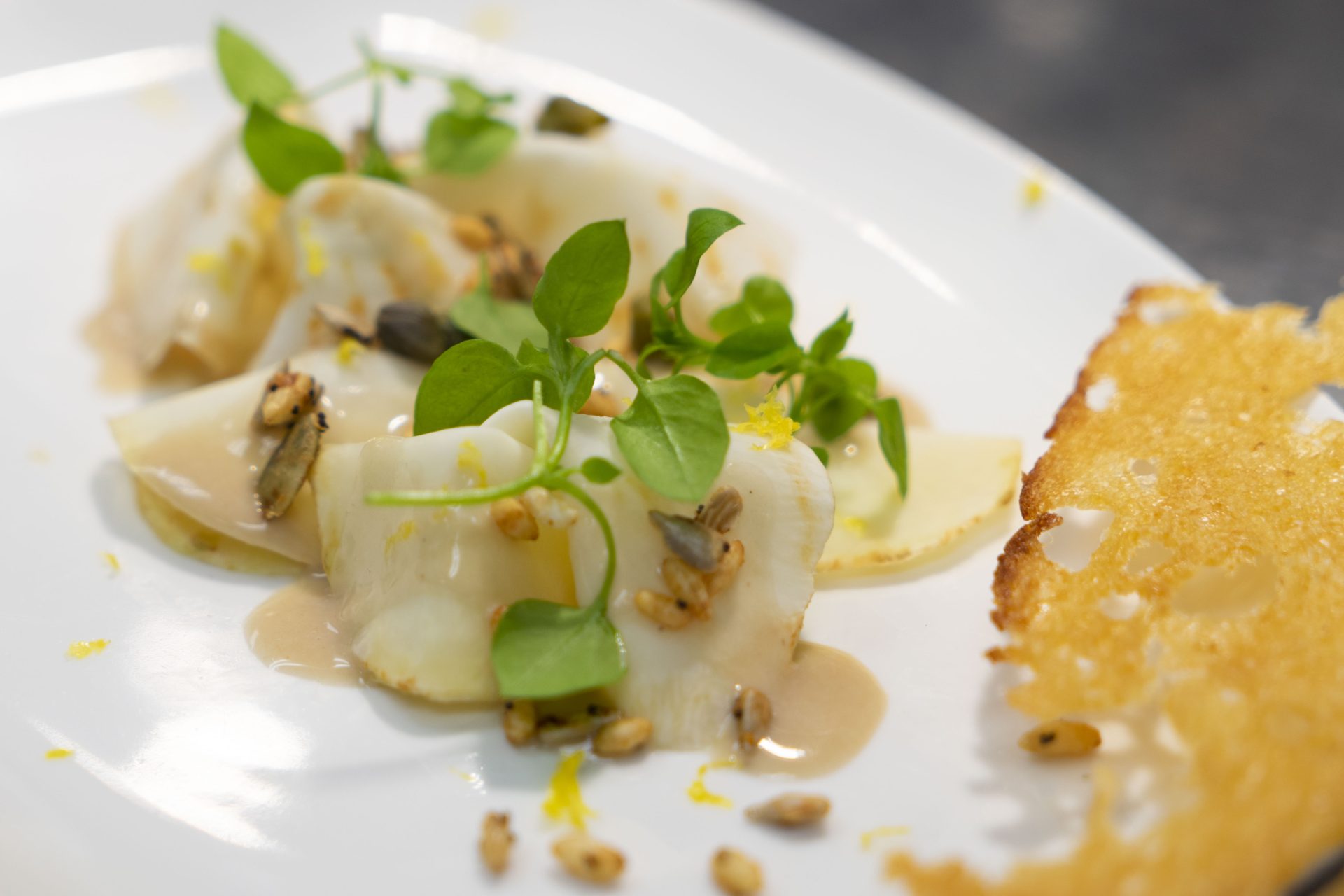 Weekly Update | October 2-8, 2020