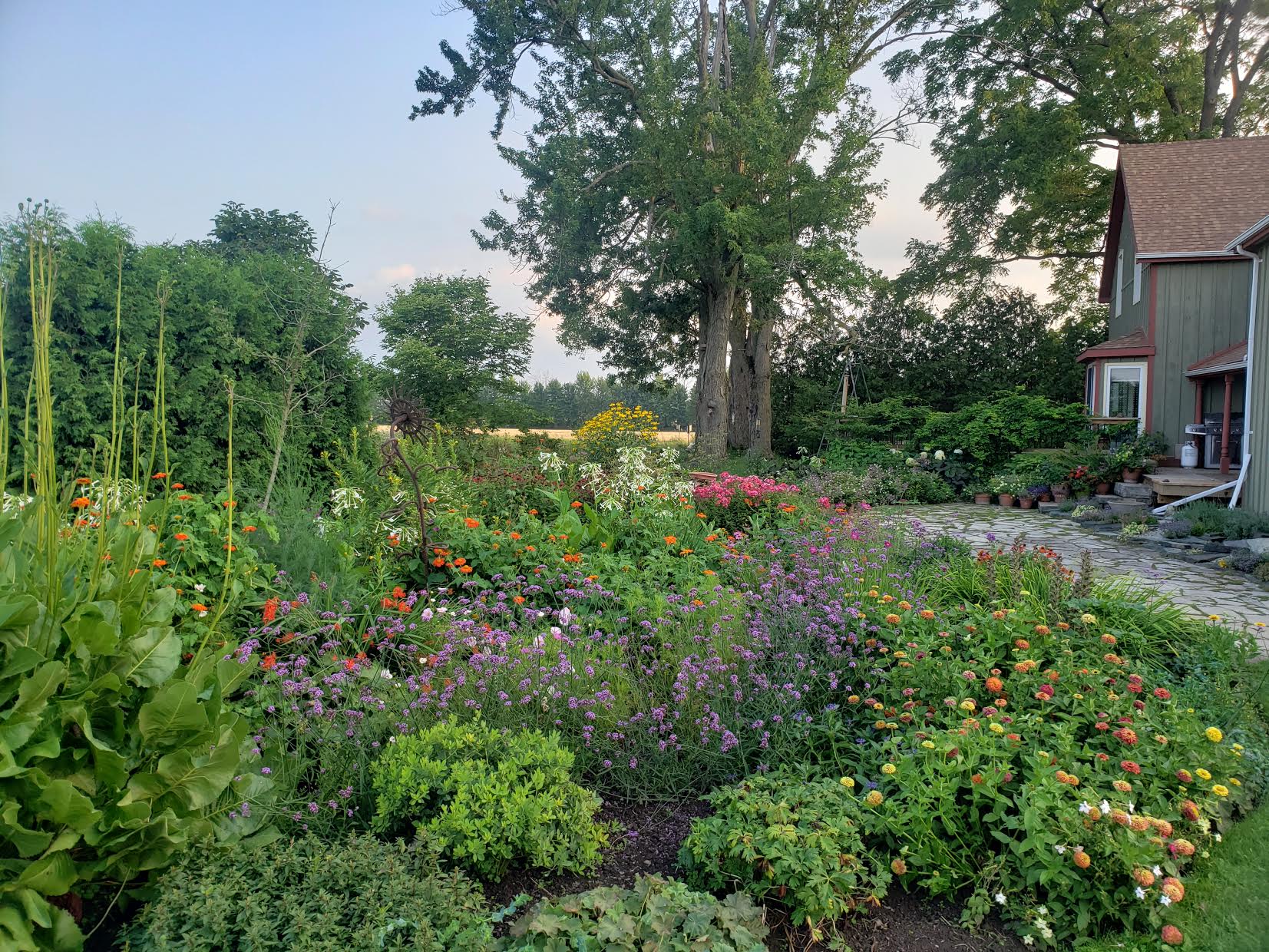 Weekly Update | June 10-16, 2021