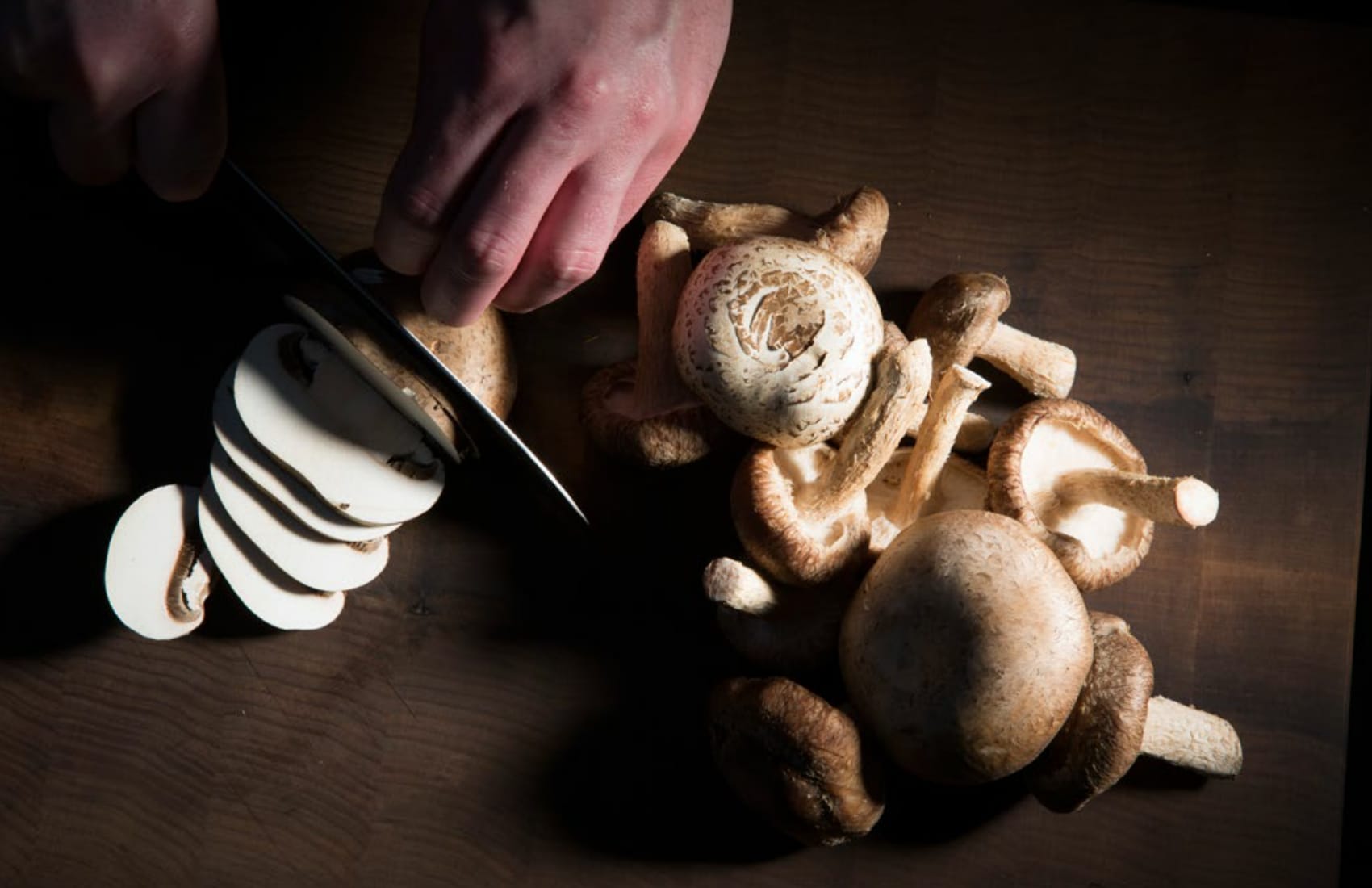 Weekly Update | April 14-20, 2022