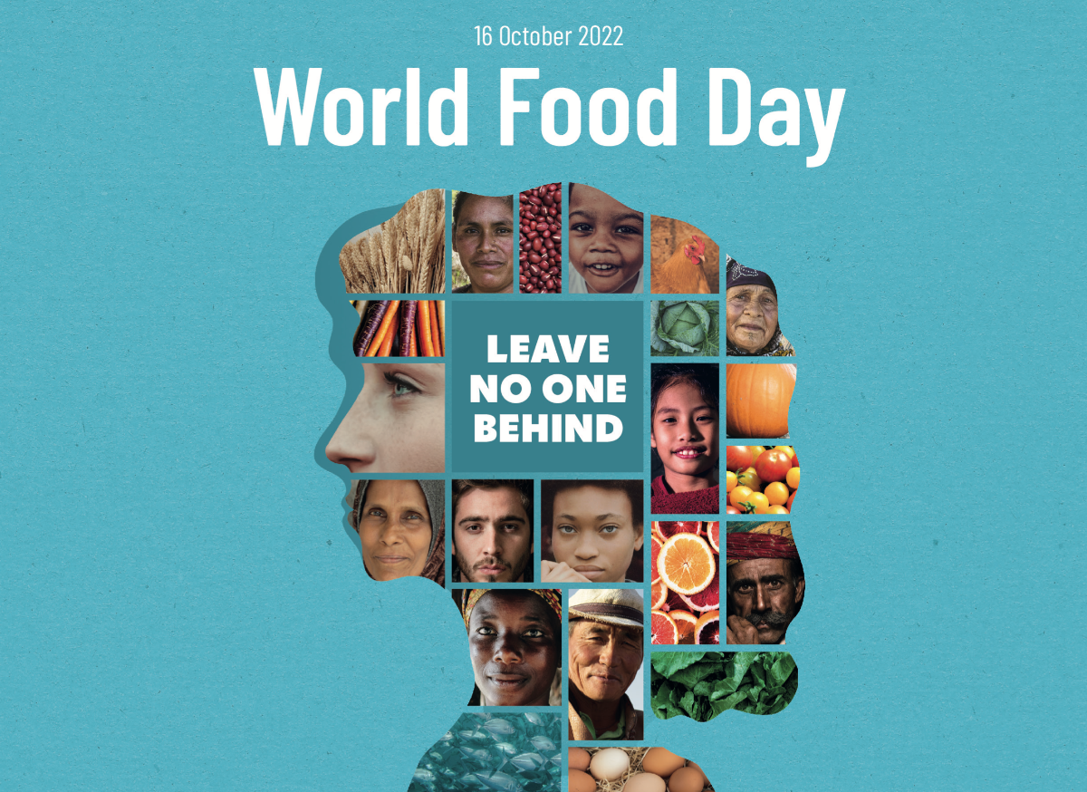 Weekly Update | October 6-12, 2022