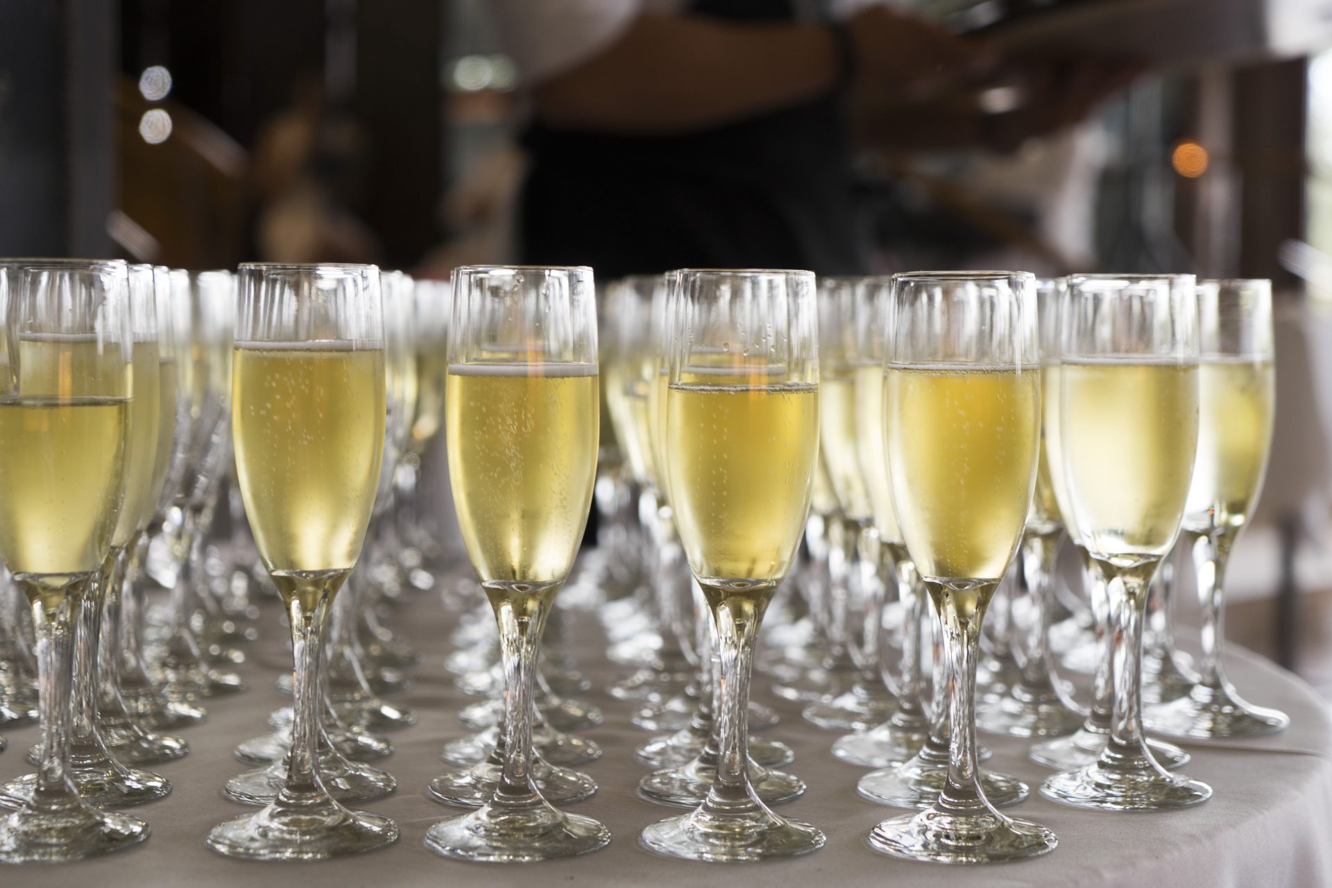 Weekly Update | February 2-8, 2023