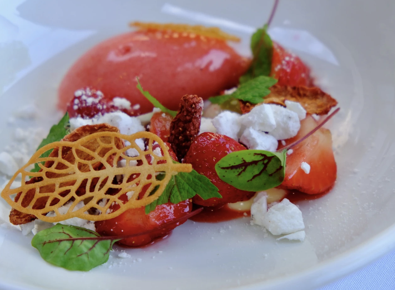 Weekly Update | April 20-26, 2023