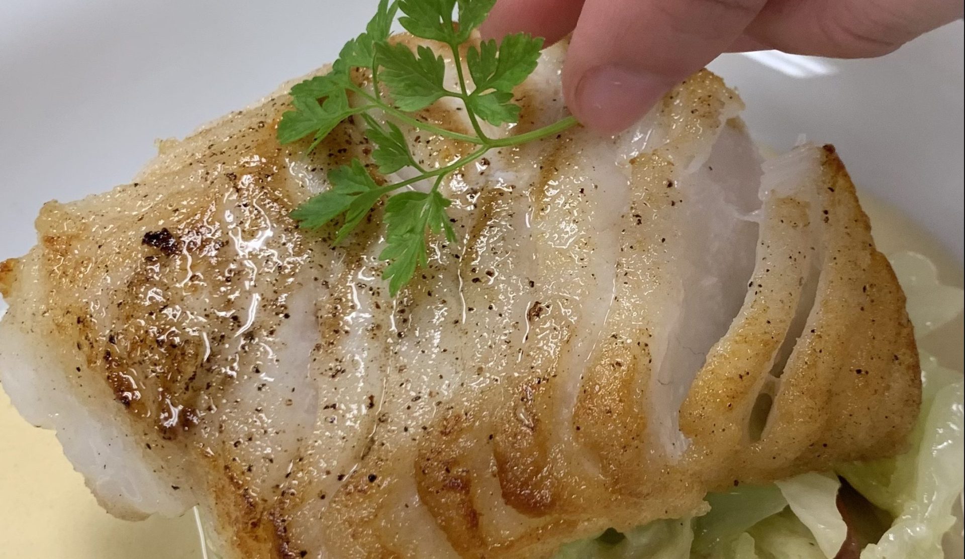 Braising and Roasting Week | Weekly Update for August 10-16, 2023