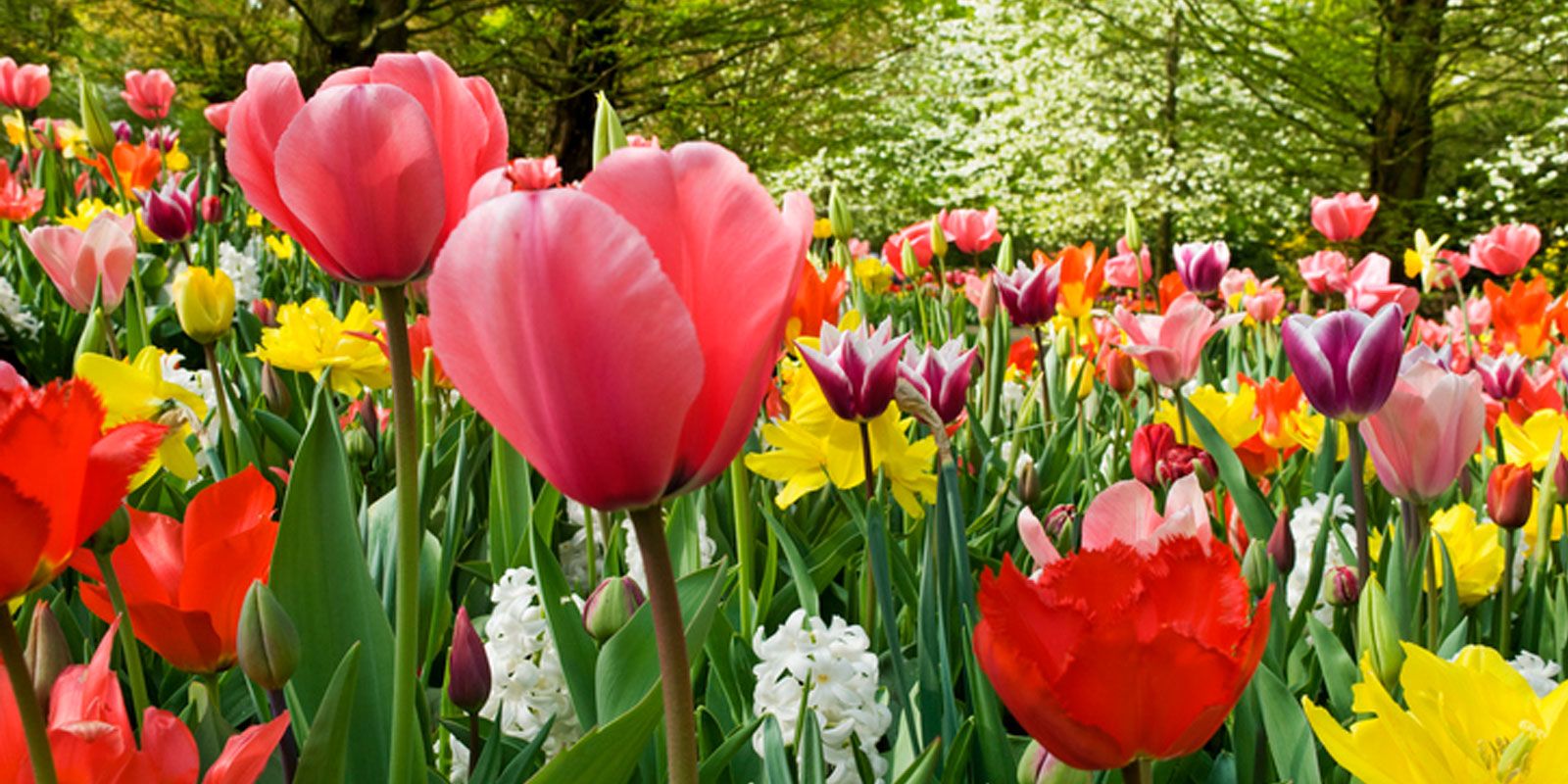 Weekly Update | May 11-17, 2023